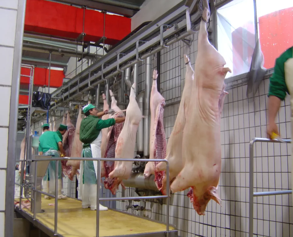 Plattformen-und-Arbeitsplätze-für-Schweinefleisch_MECANOVA__