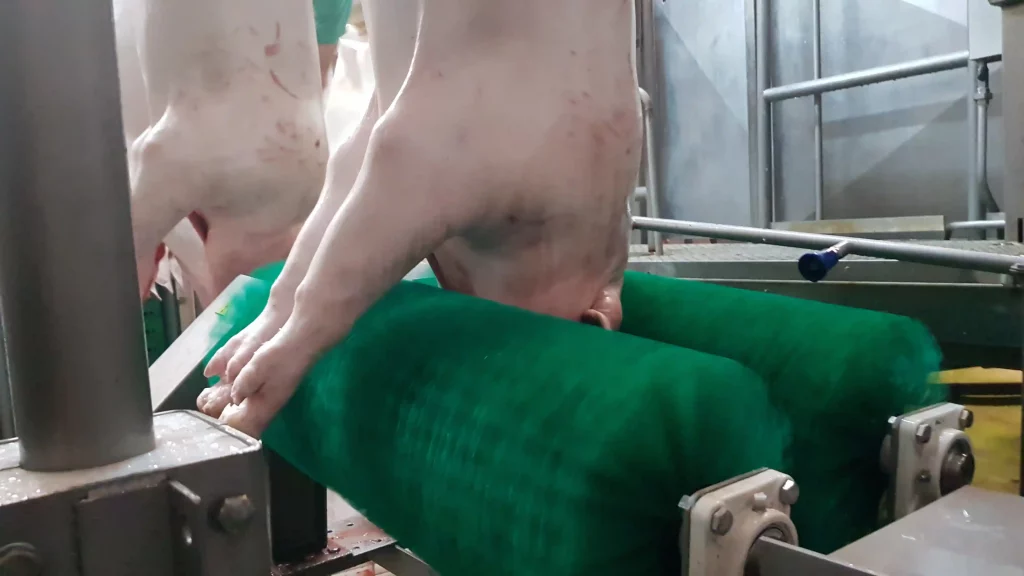 Schweinekopf-Polierer_MECANOVA