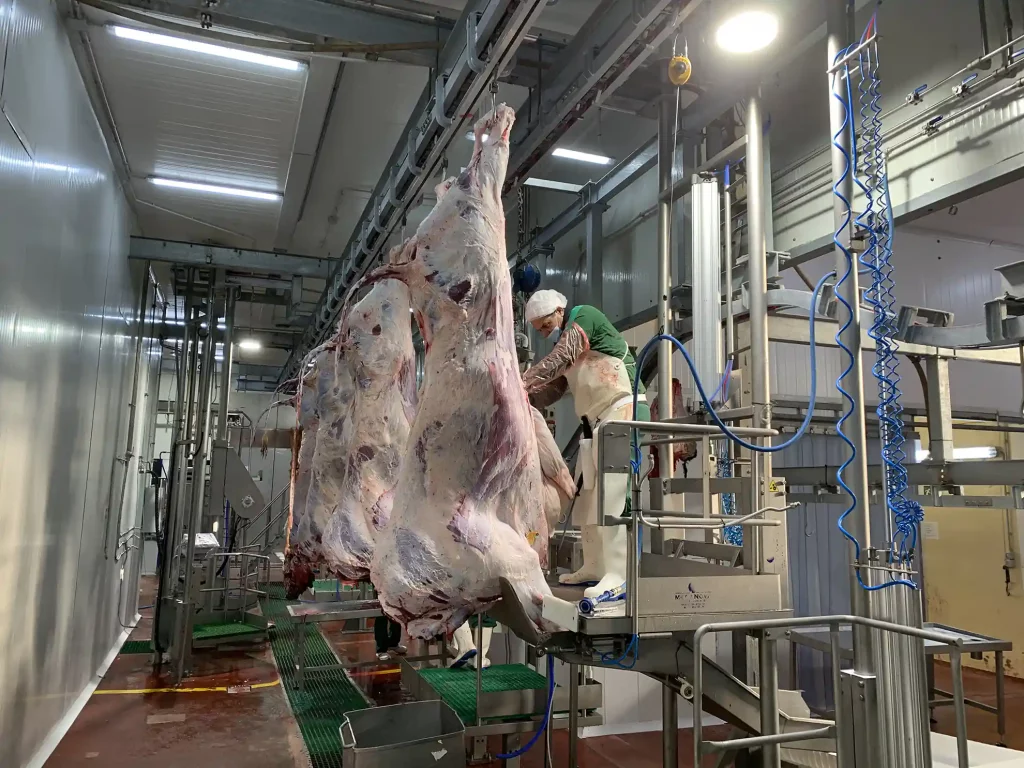 Pneumatische-Plattformen-für-Weißes-Organe_MECANOVA_
