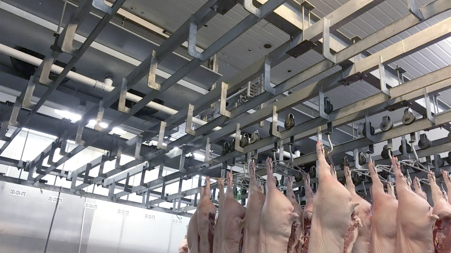 precio-via-pletina Fördersysteme-für-Fleisch_MECANOVA_