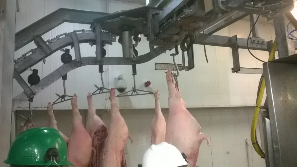 Flachbahnsystem-für-Fleisch_MECANOVA--