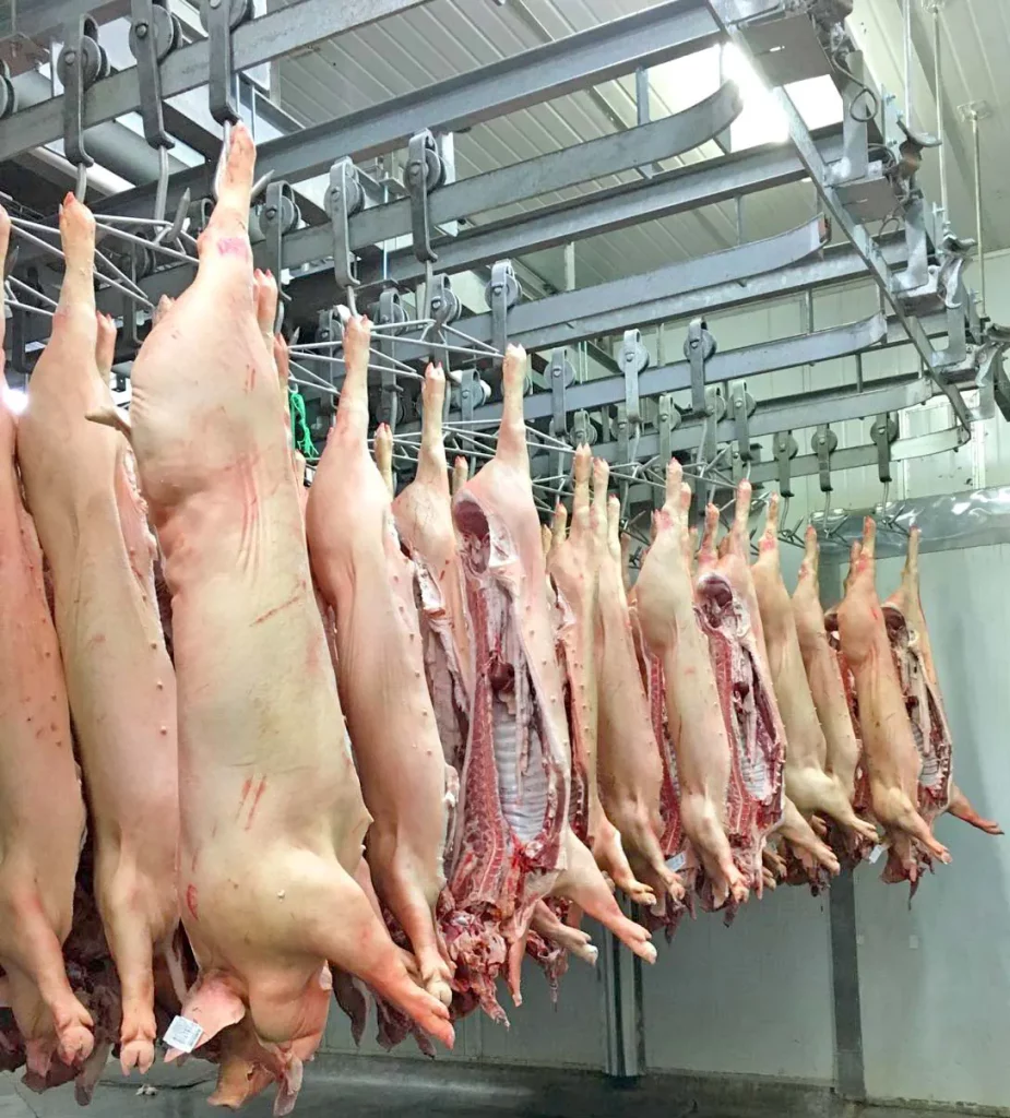 Flachbahnsystem-für-Fleisch_MECANOVA_