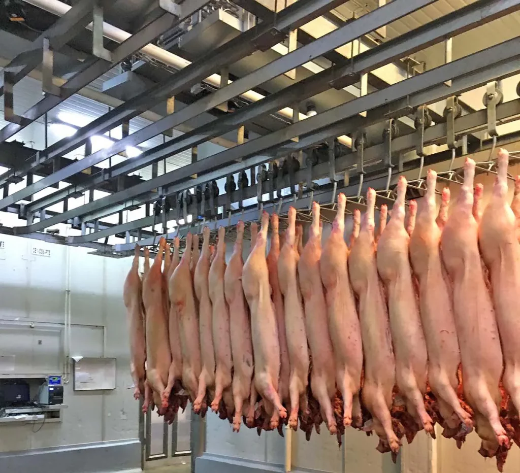 Flachbahnsystem-für-Fleisch_MECANOVA__