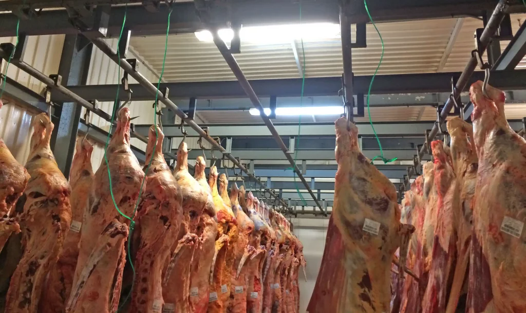 Rohrbahnsysteme-für-Fleisch_MECANOVA__