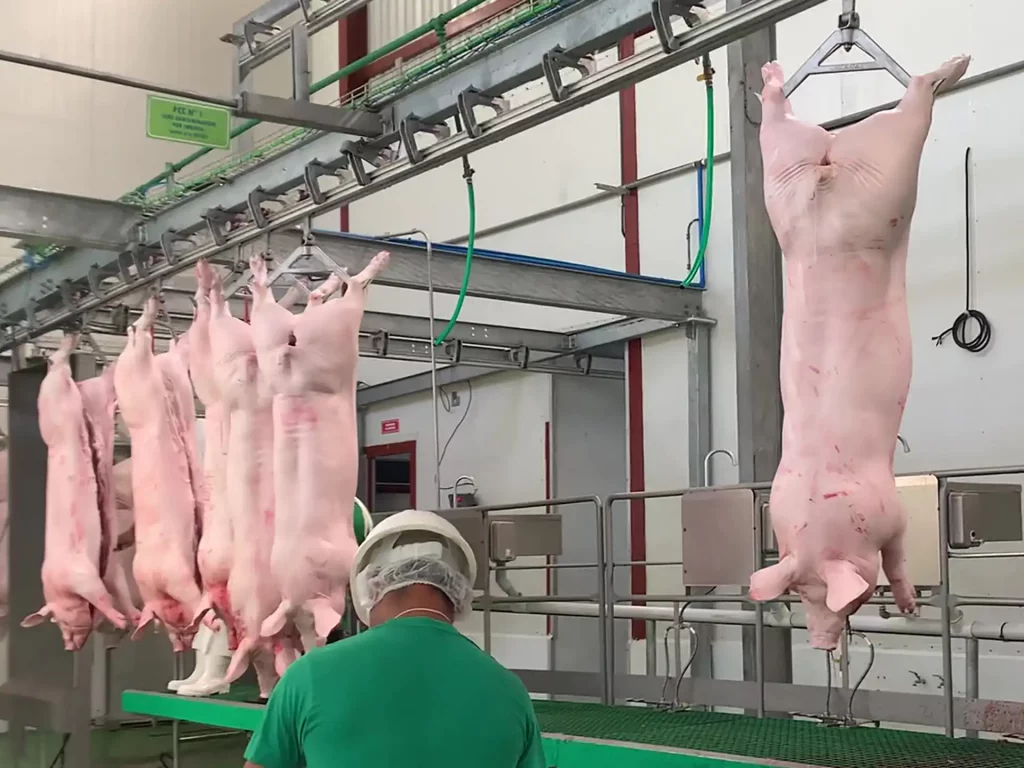 schweine-aluminium-spreizen_MECANOVA