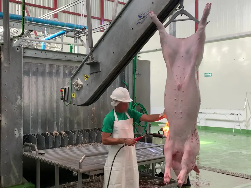 schweine-aluminium-spreizen_MECANOVA__