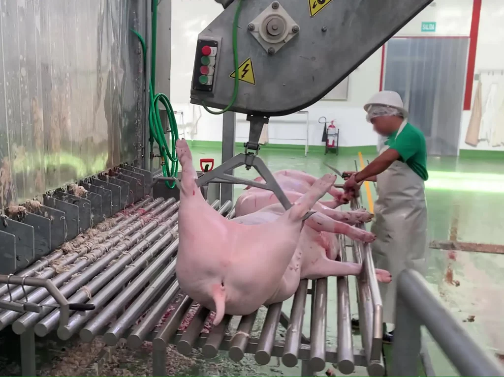 schweine-aluminium-spreizen_MECANOVA-