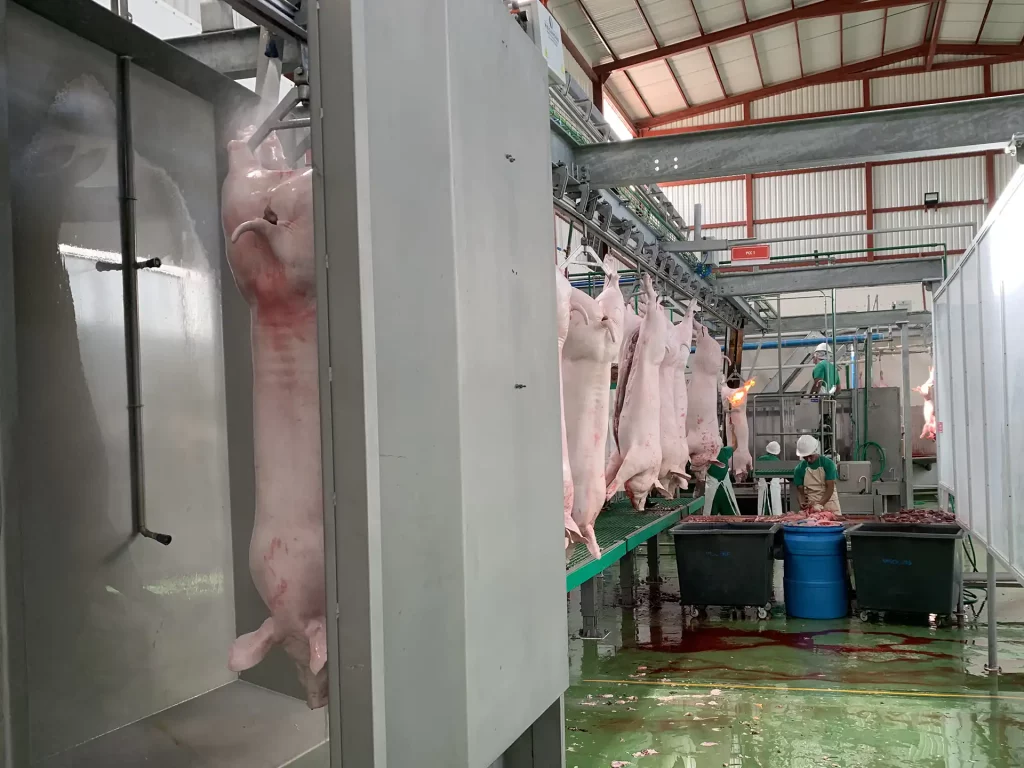schweine-aluminium-spreizen_MECANOVA--