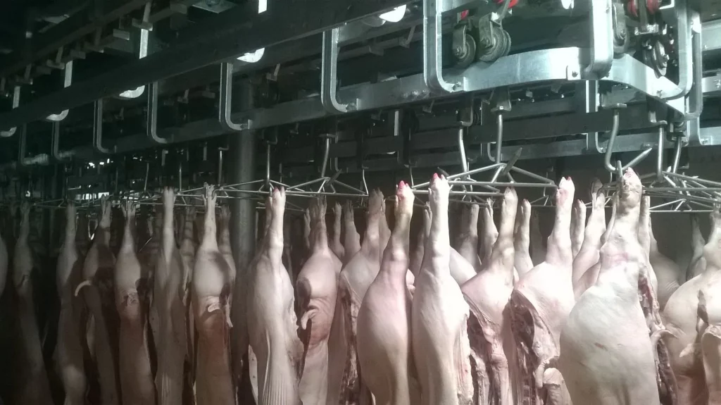 Schweine Edelstahl Spreizen__MECANOVA