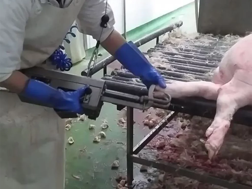 Manueller-Zehennagelentferner-für-Schweine_MECANOVA--