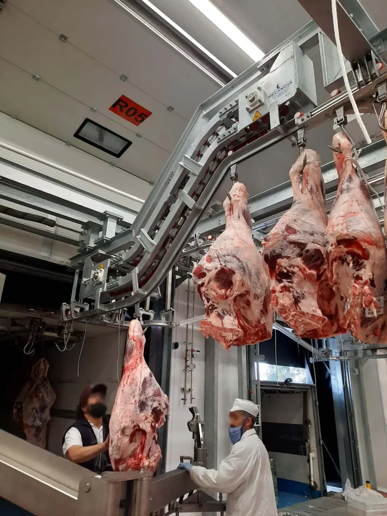 Fleisch-Schlachthofhaken_MECANOVA
