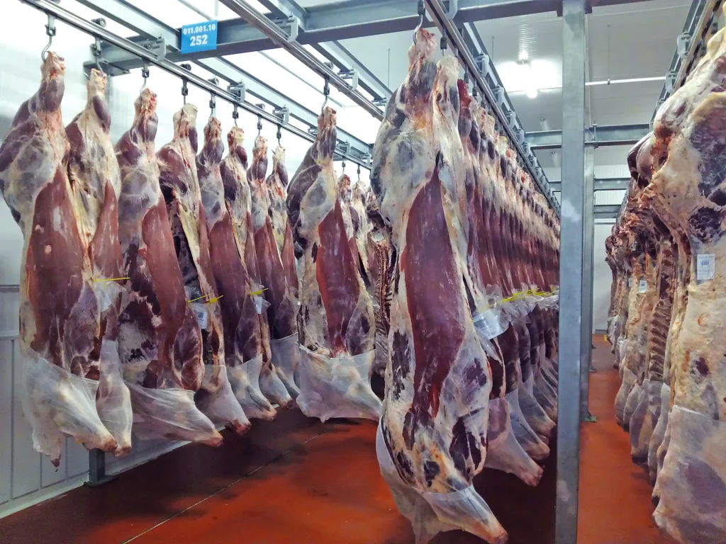 Fleisch-Schlachthofhaken_MECANOVA-