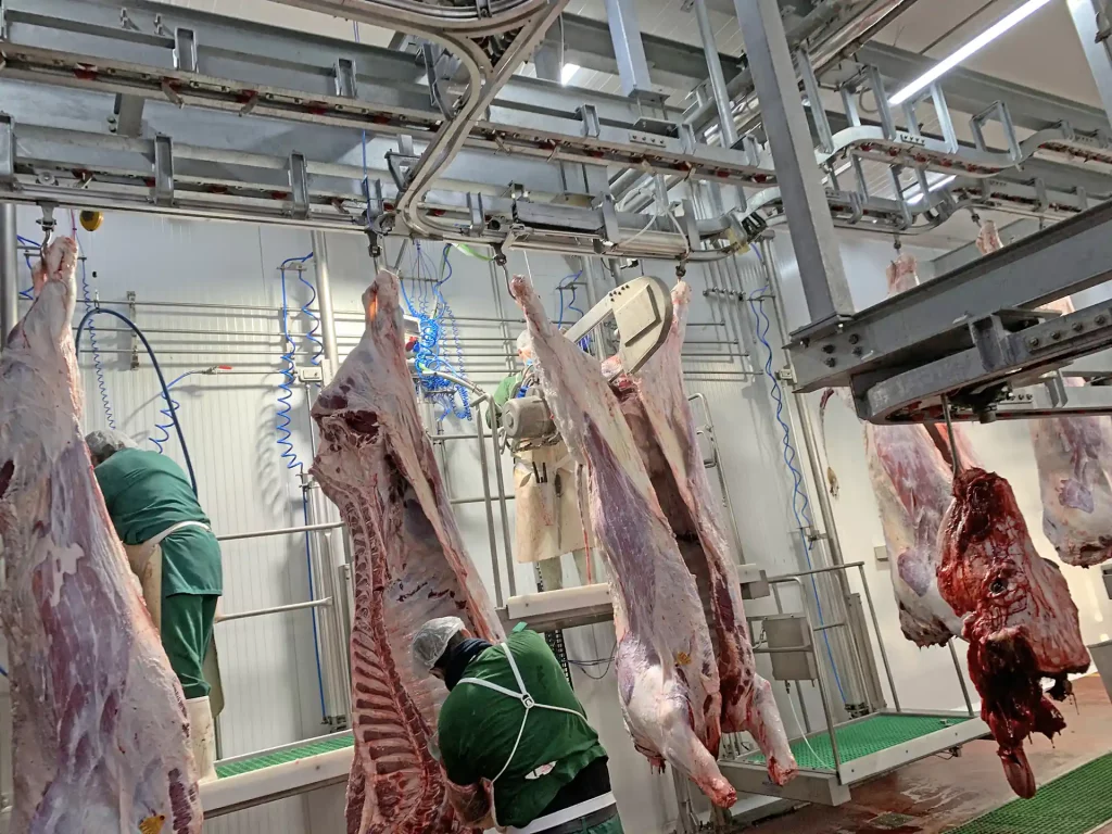 Fleisch-Schlachthofhaken_MECANOVA__