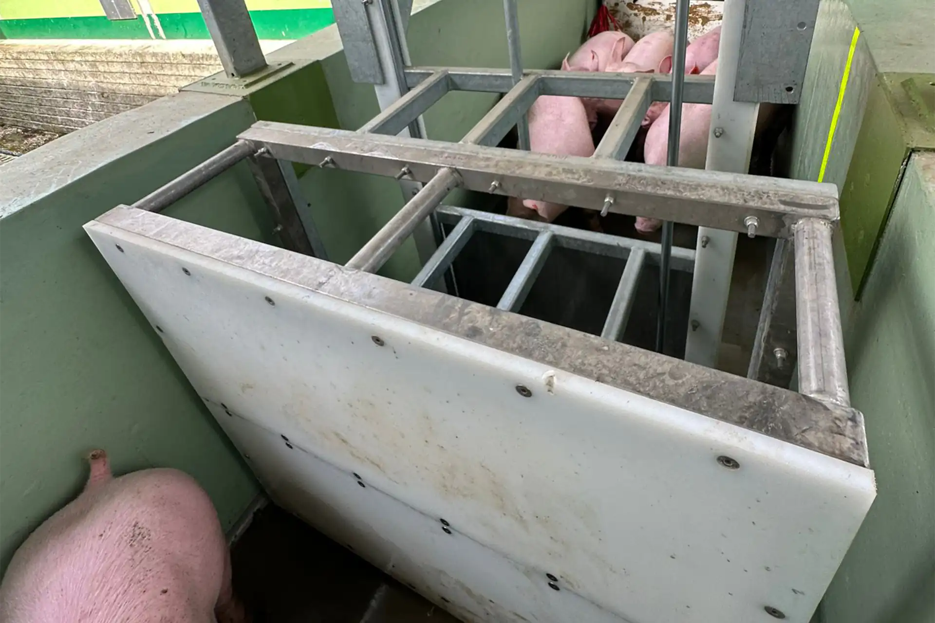precio-conduccion-cerdos_MECANOVA price-pigs-slaughterhouses_MECANOVA