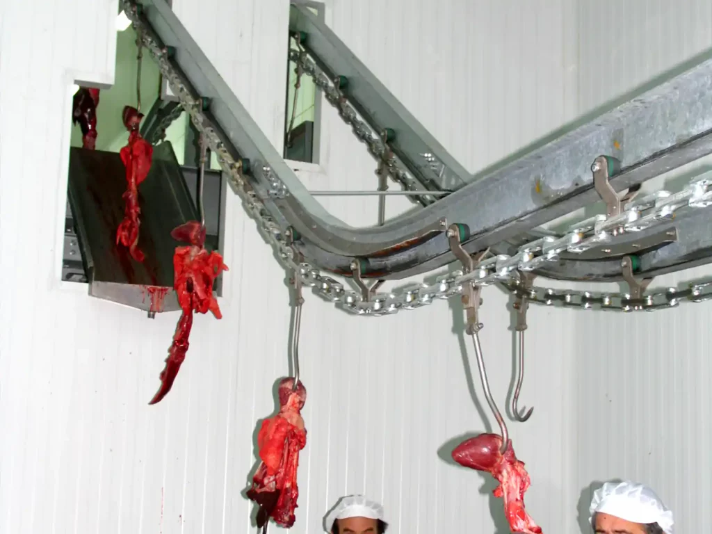 Förderer-für-Rote-Organe_MECANOVA-