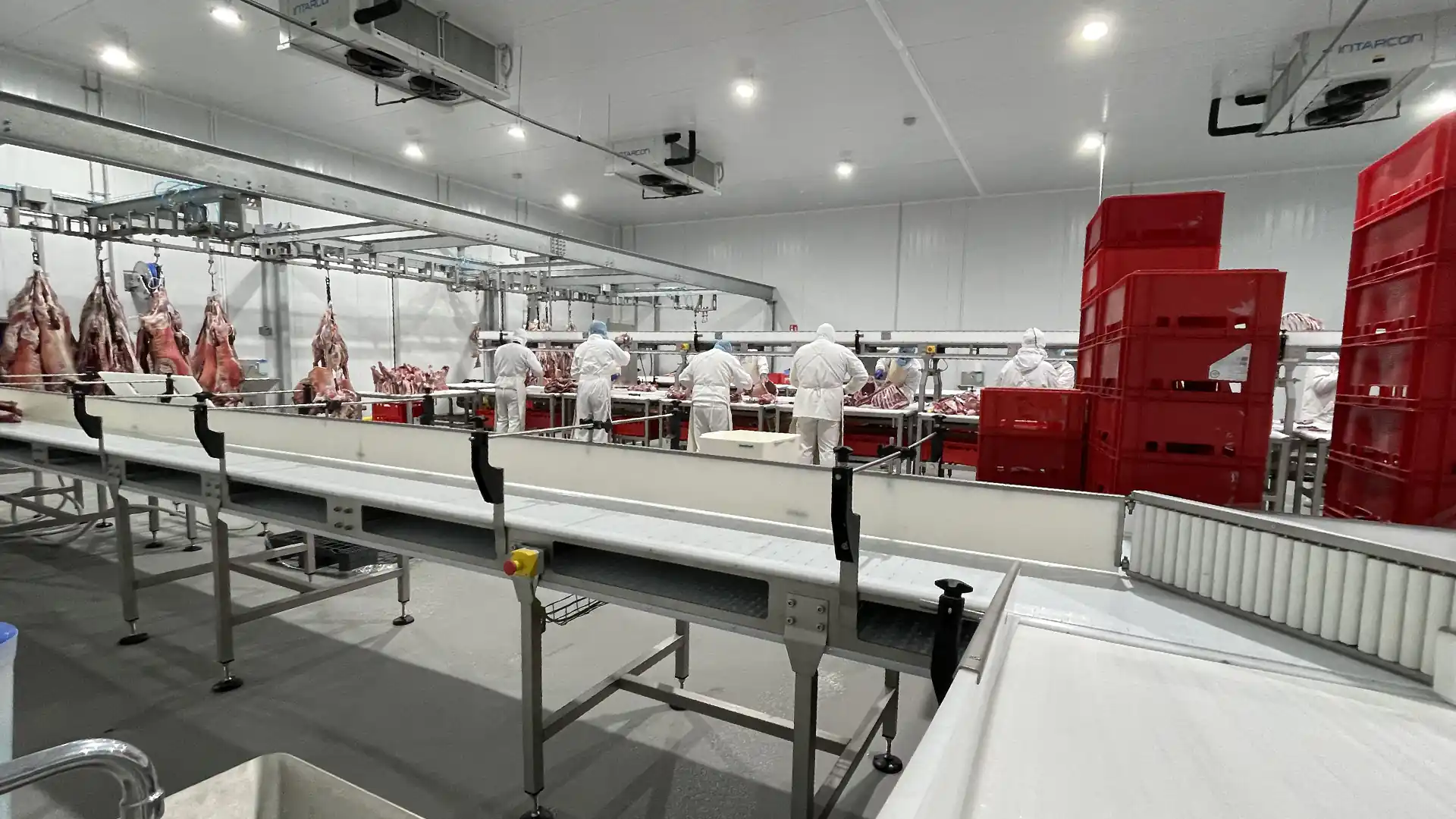 salas-lineas-despieces-ovino_MECANOVA sheep-cutting-rooms-and-lines_MECANOVA