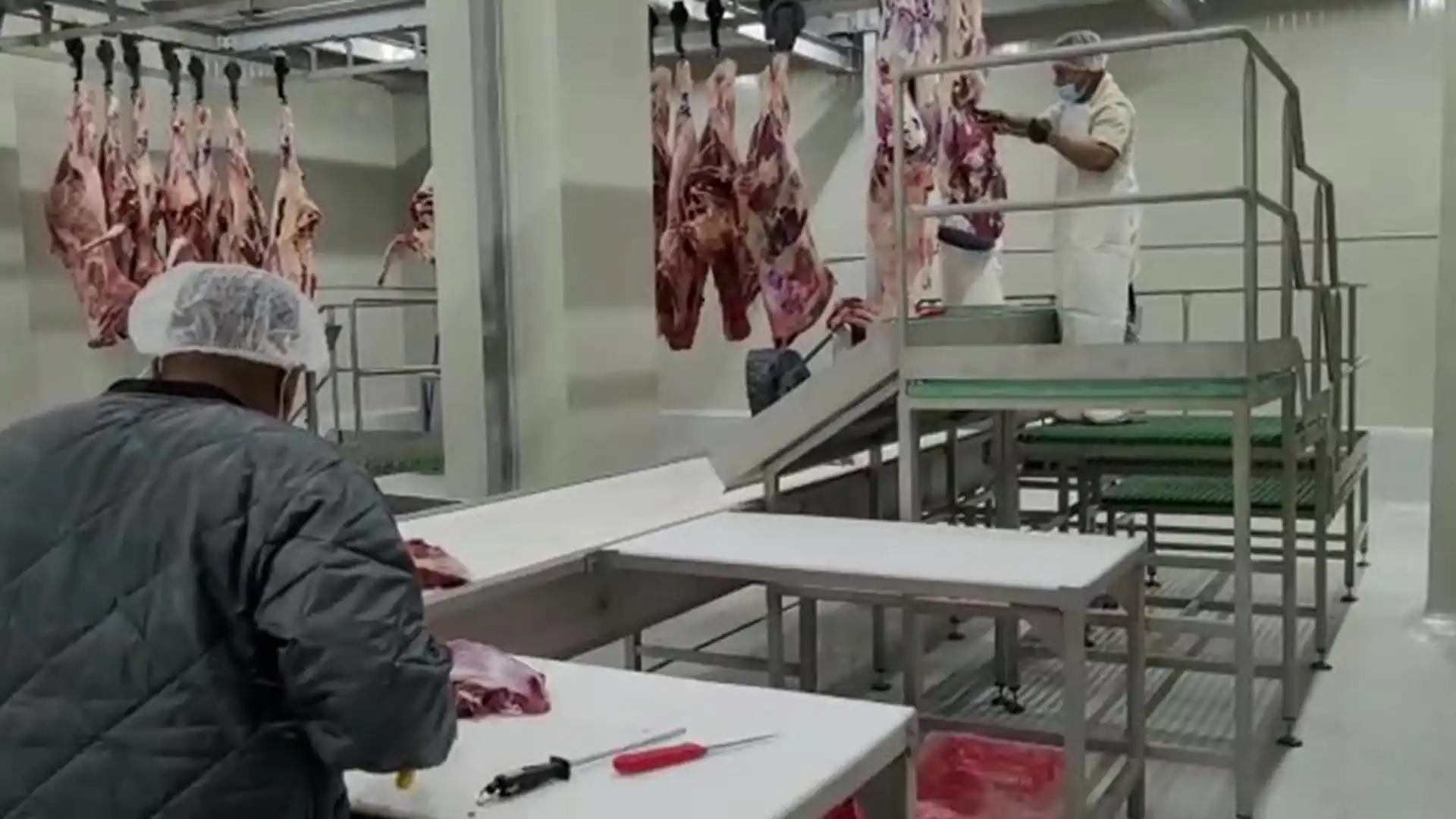 salas-lineas-despieces-vacuno_MECANOVA beef-cutting-rooms-and-lines_MECANOVA