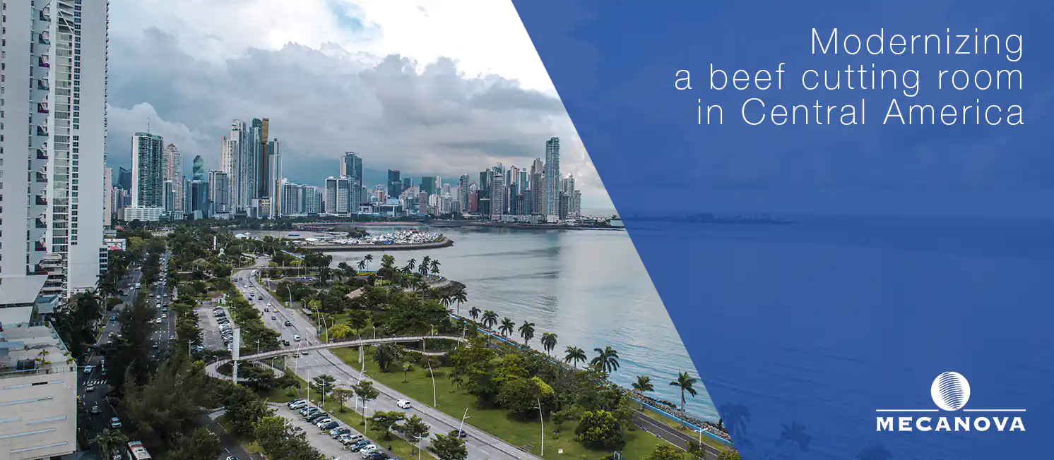 beef-cutting-room_MECANOVA