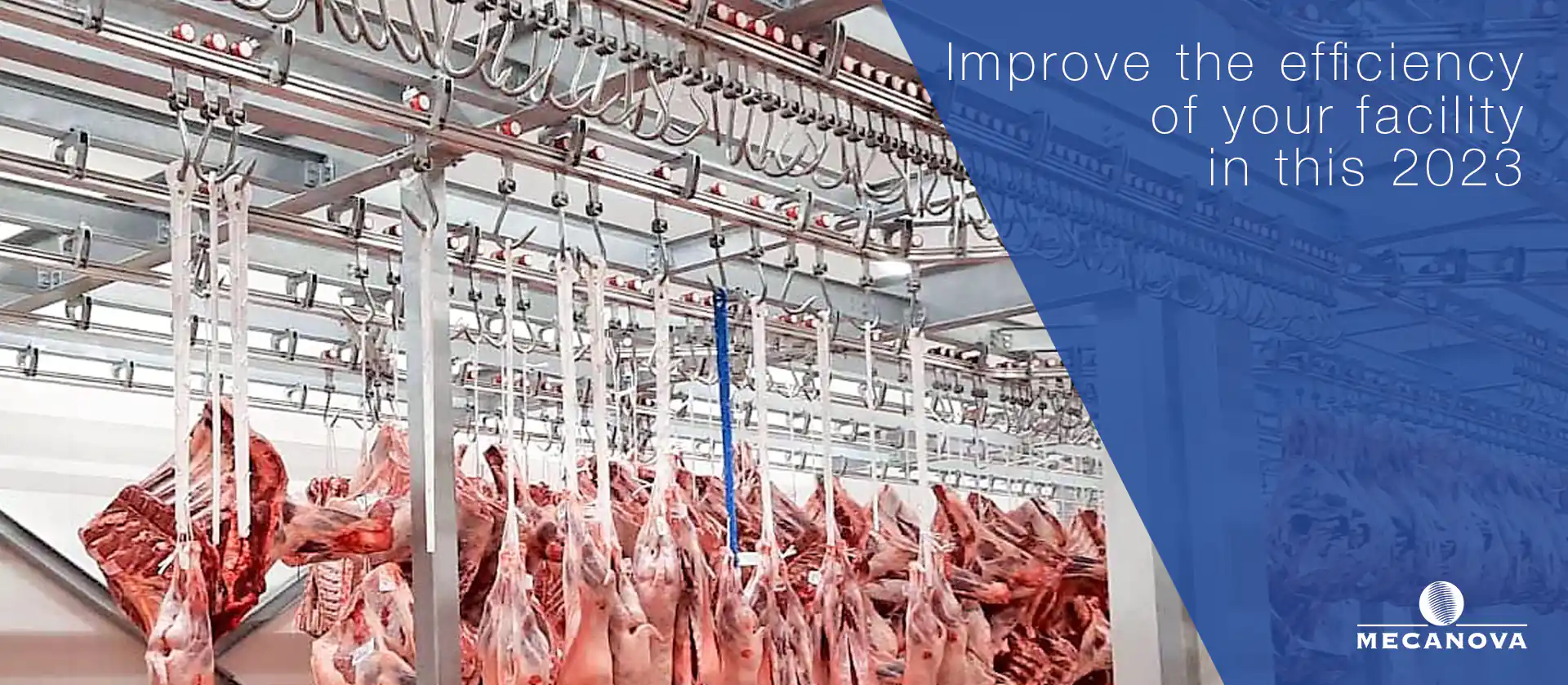 efficiency-in-slaughterhouses_MECANOVA