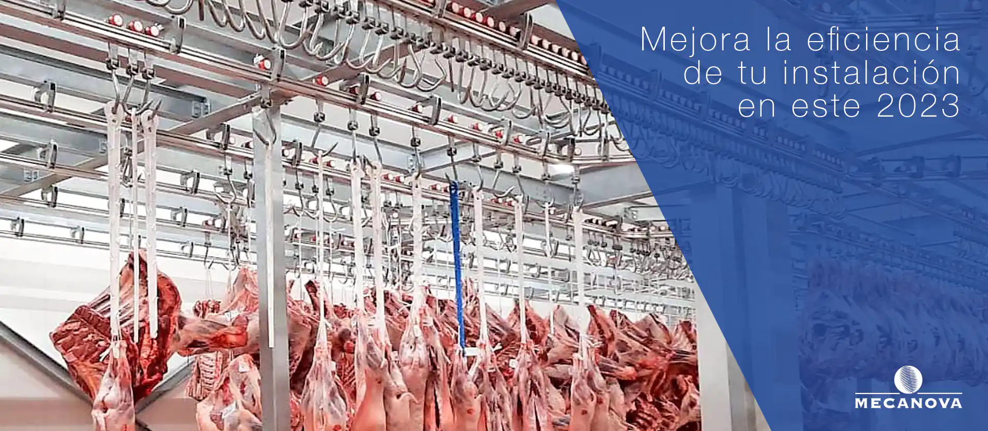 eficiencia-en-los-mataderos_MECANOVA
