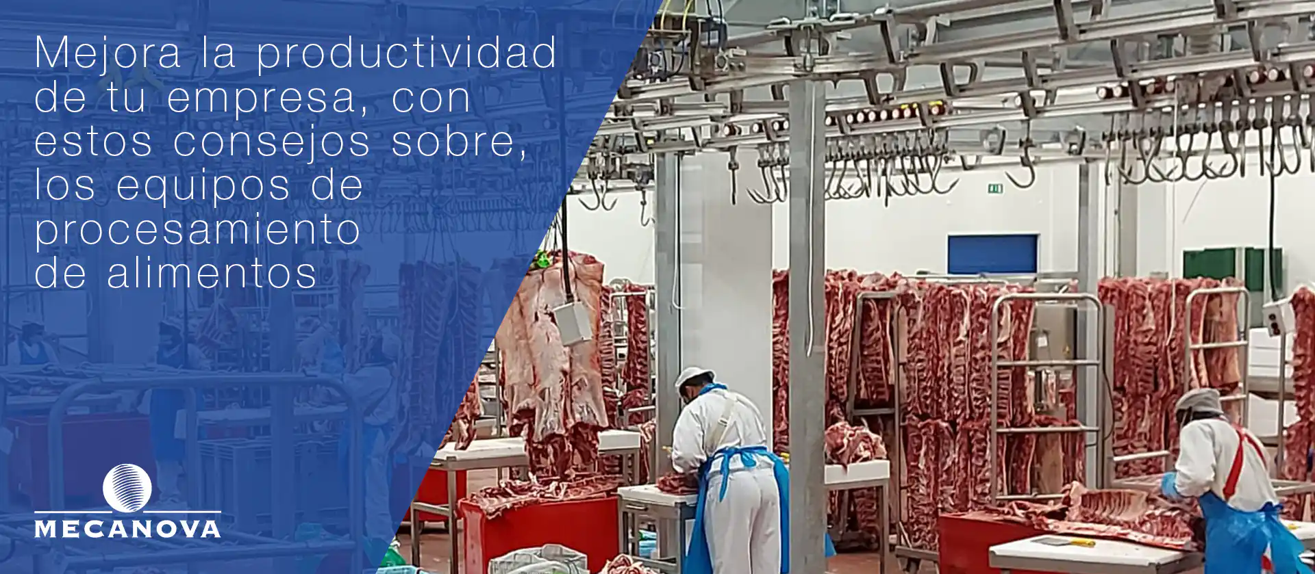 equipos-procesamiento-alimentos_MECANOVA