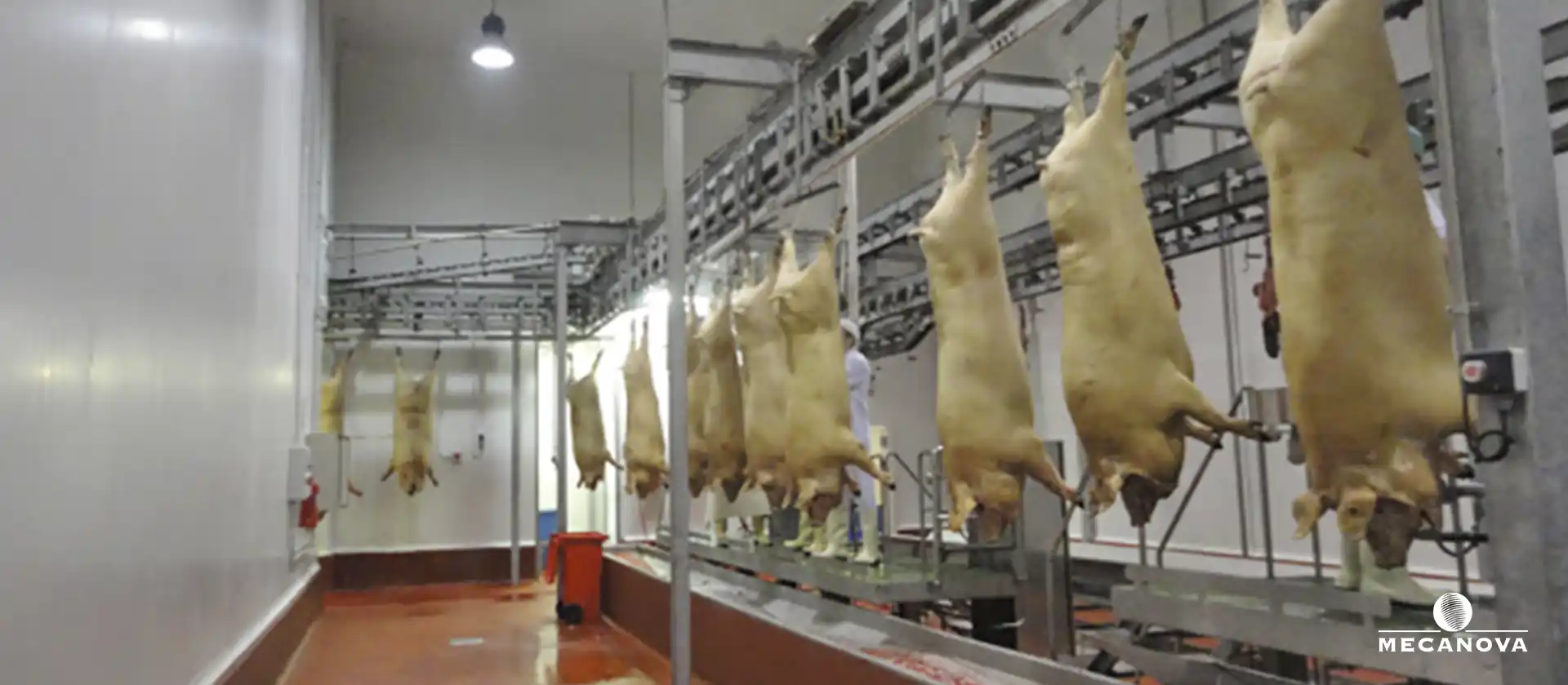 eviter-contamination-carcasses_MECANOVA