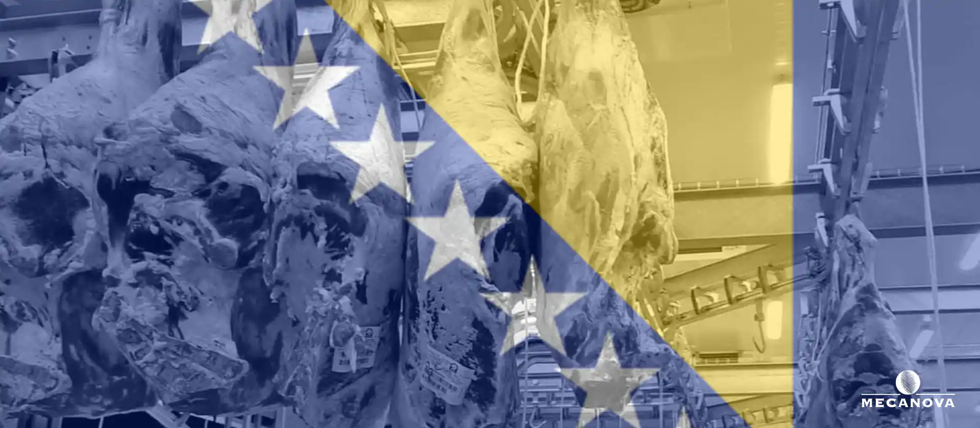 industrie-viande_MECANOVA