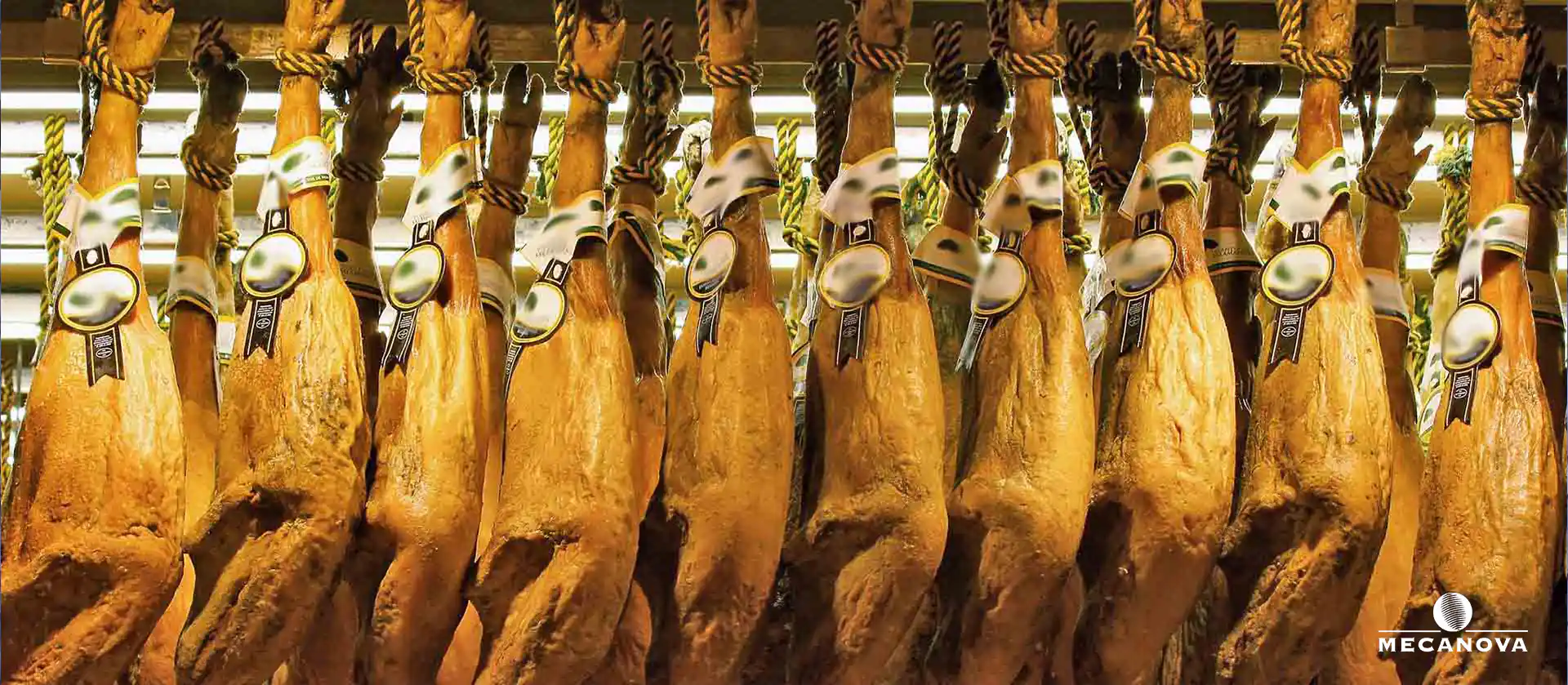 industries viande_MECANOVA