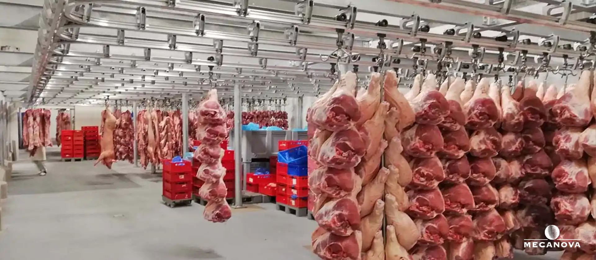 abattoirs-de-porcine-en-espagne_MECANOVA