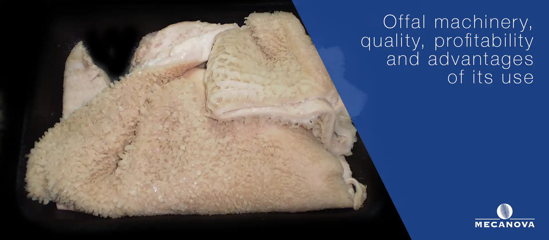 offal-machines-for-cattle-and-sheep_MECANOVA