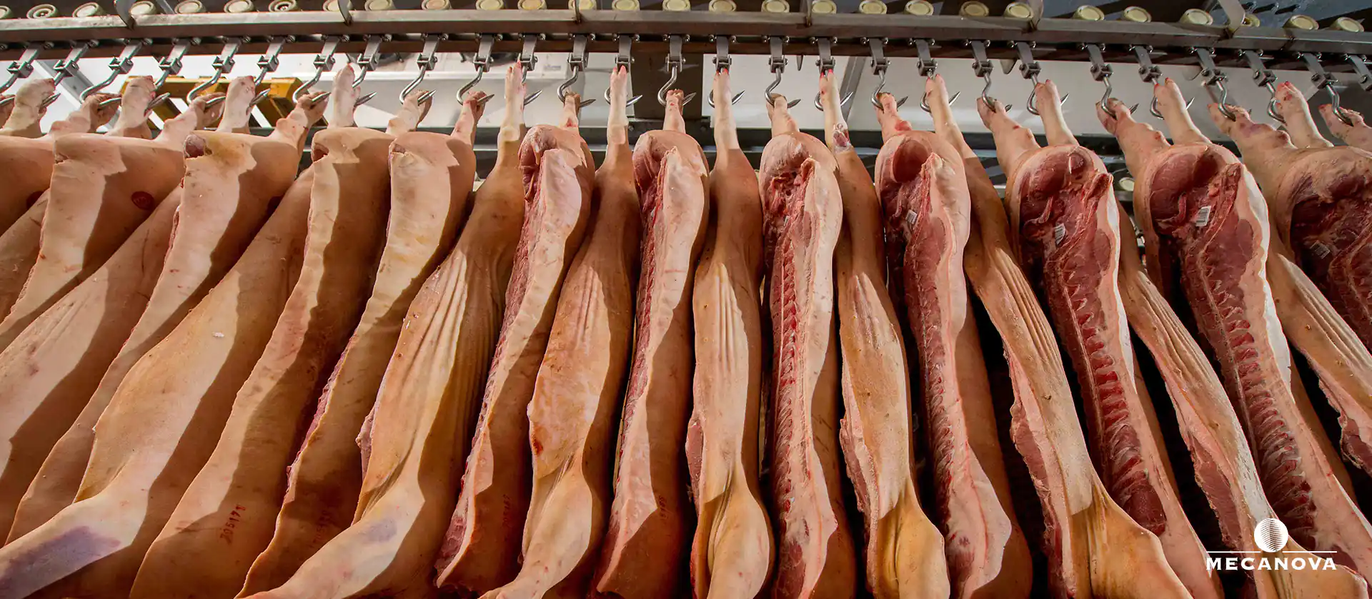 precio-luz-industria-carnica_MECANOVA