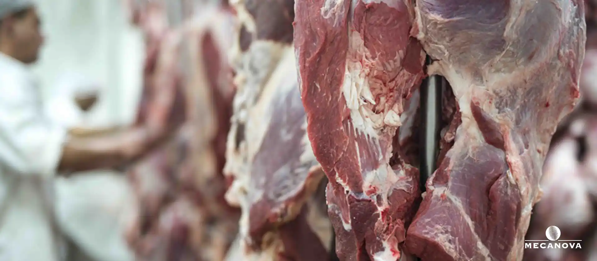 traitement-sous-produits-abattoir_MECANOVA