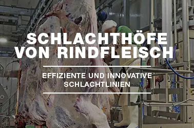 SCHLACHTHOFE-VON-RINDFLEISCH_MECANOVA
