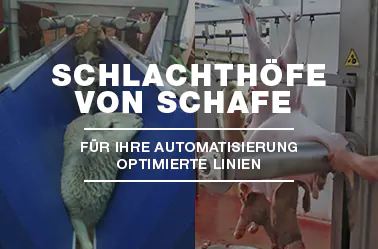SCHLACHTHOFE-VON-SCHAFE_MECANOVA