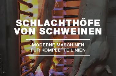 SCHLACHTHOFE-VON-SCHWEINEN_MECANOVA