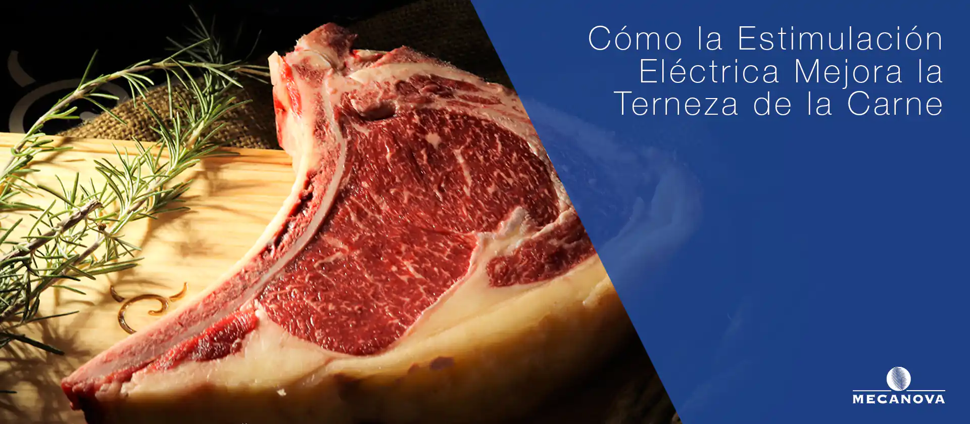 estimulacion-electrica-mejora-terneza-carne