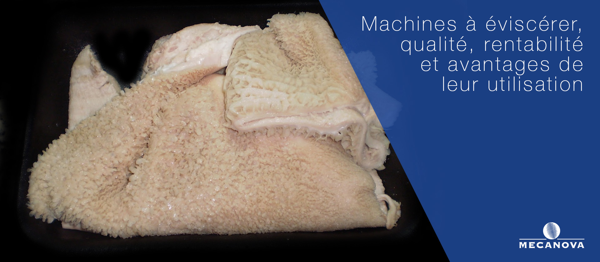 machines-a-eviscerer