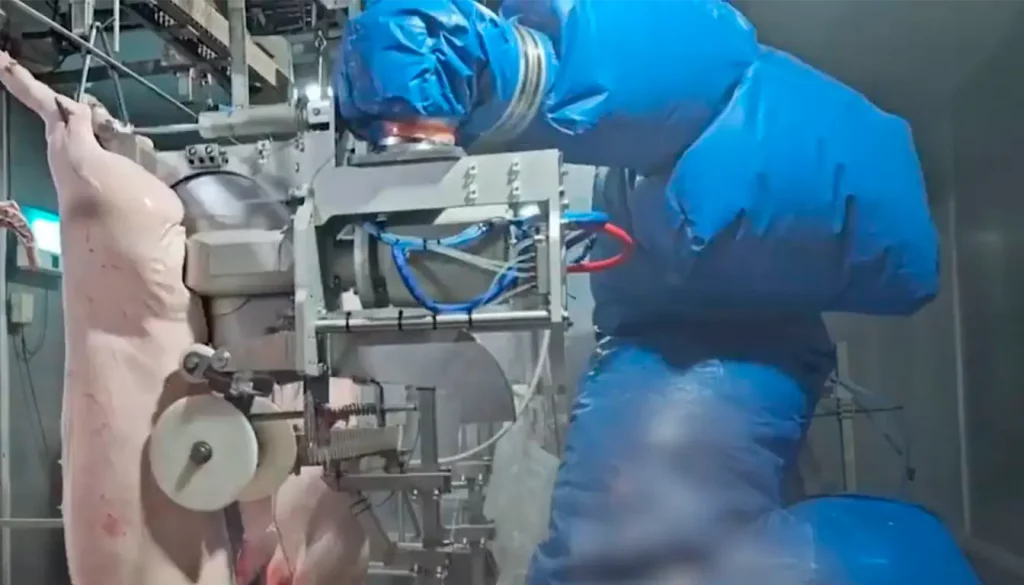 modernisation-abattoirs_ROBOTS-1_MECANOVA