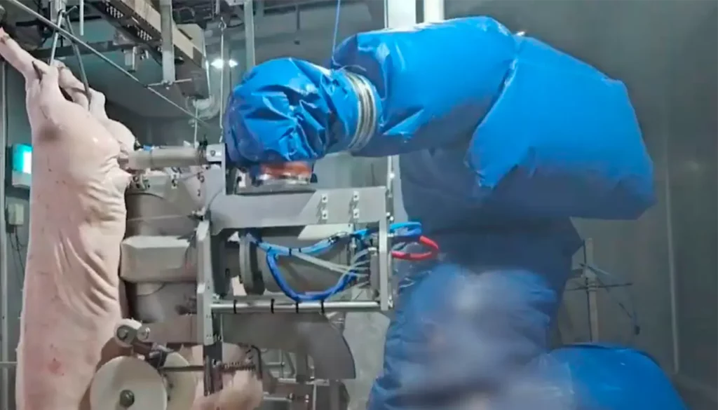 modernisation-abattoirs_ROBOTS-2_MECANOVA