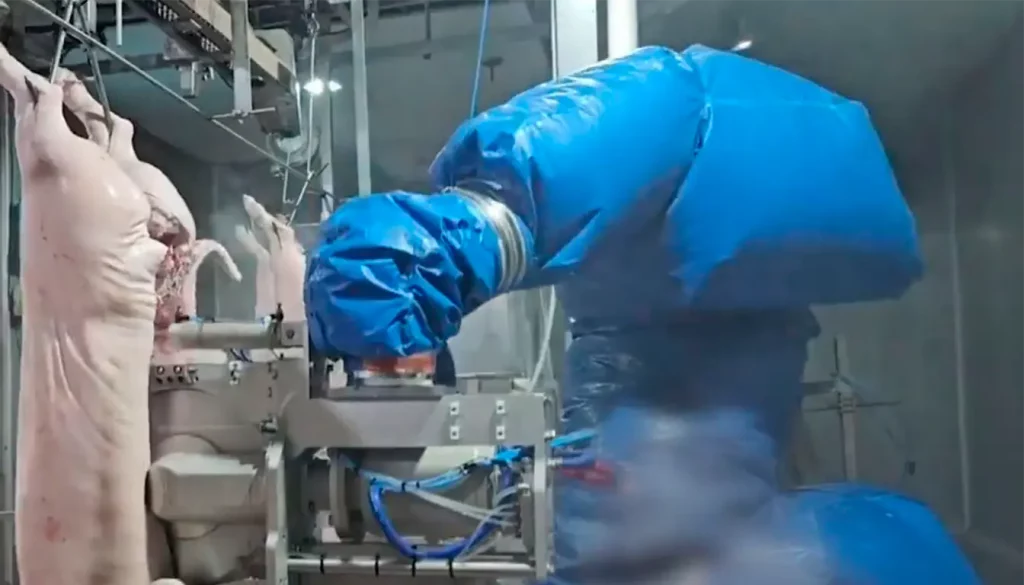 modernisation-abattoirs_ROBOTS-3_MECANOVA