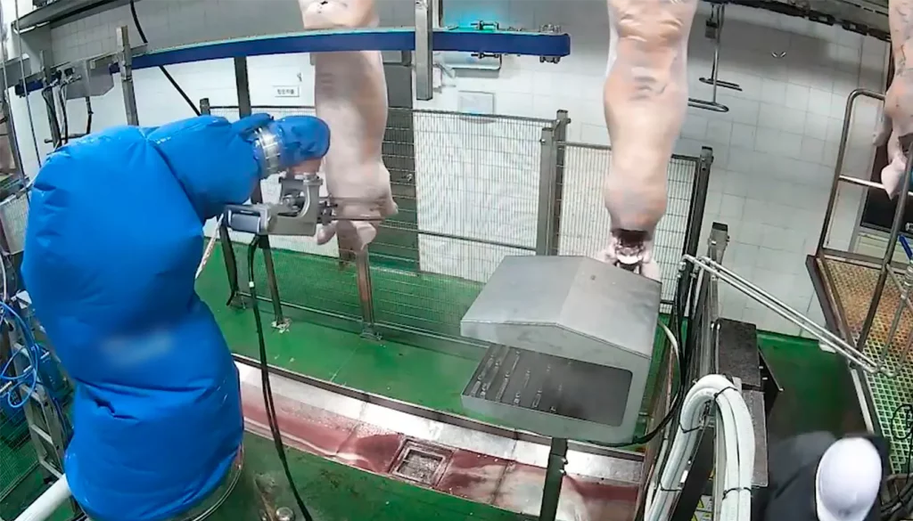 moderniser-abattoir_ROBOTS-5_MECANOVA