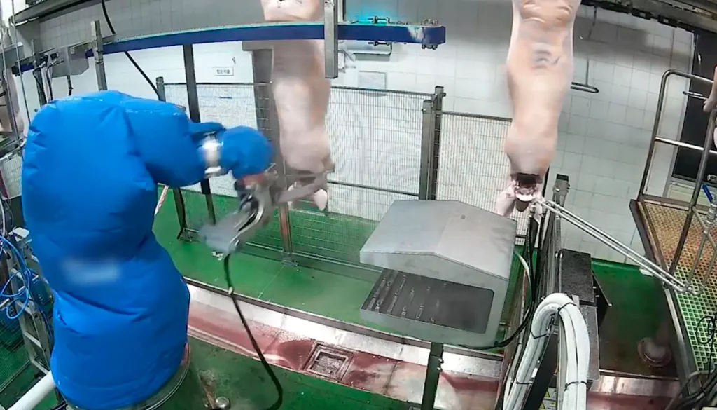 moderniser-abattoir_ROBOTS-7_MECANOVA