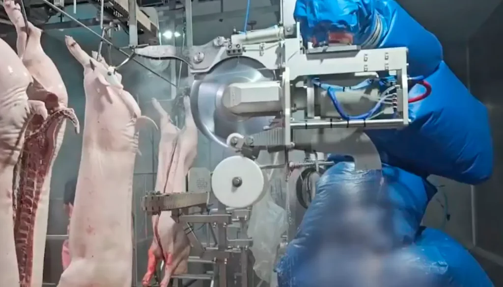 modernisation-abattoirs_ROBOTS_MECANOVA