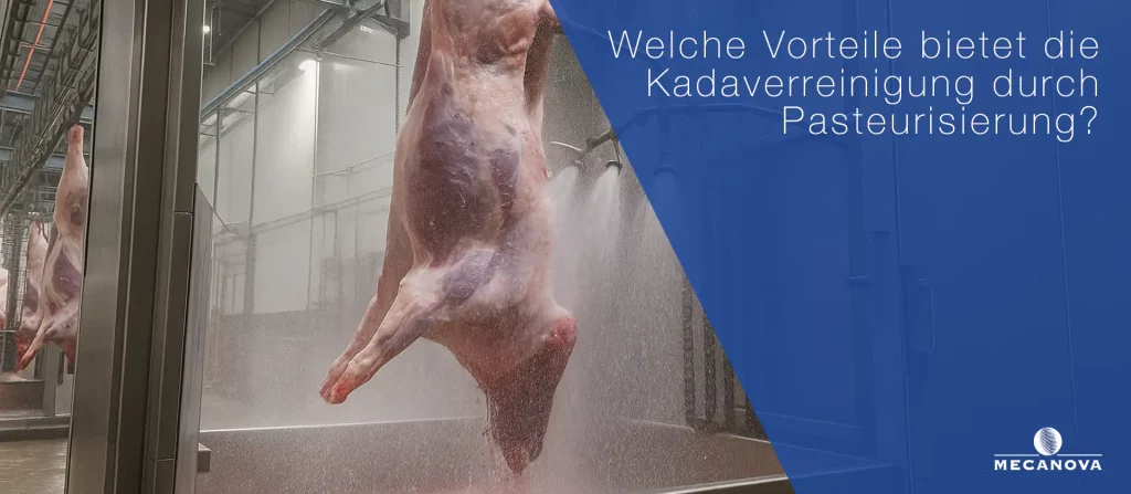 Kadaverreinigung-durch-Pasteurisierung_MECANOVA
