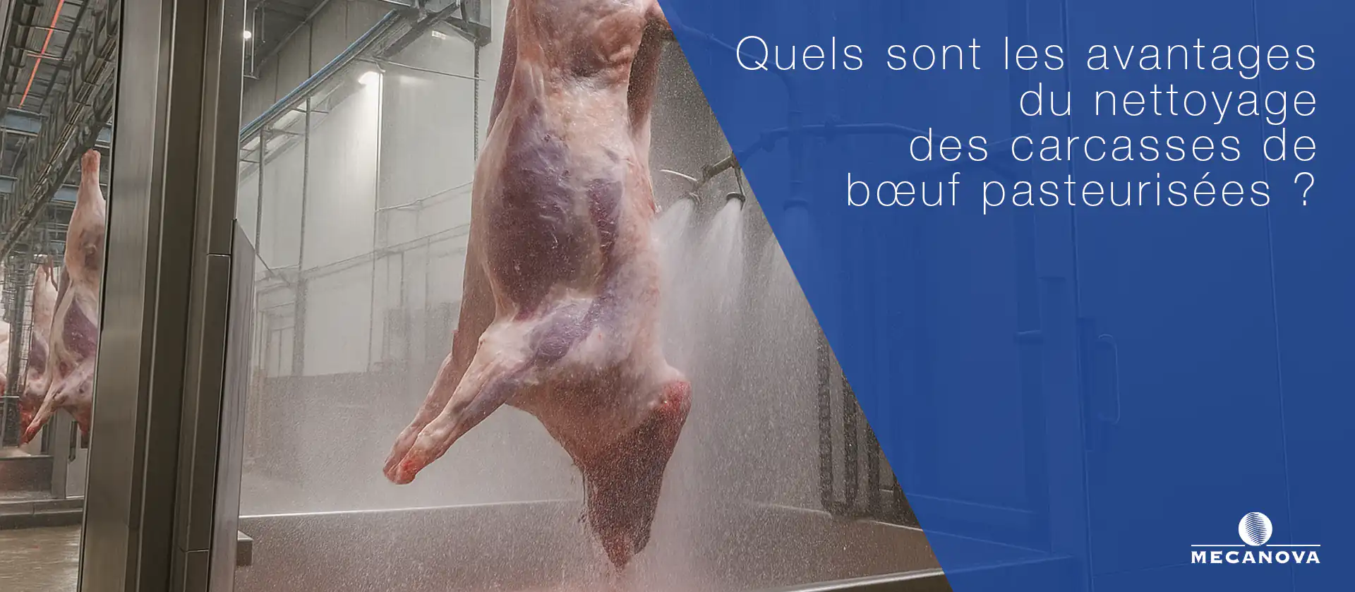 nettoyage-carcasses-pasteurisation_MECANOVA