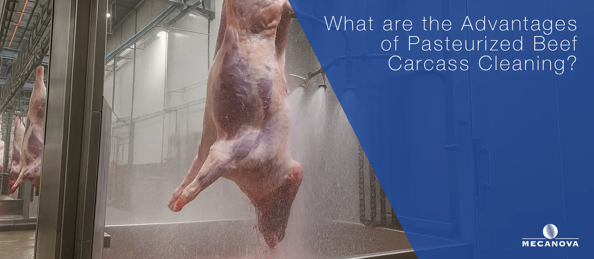pasteurized-carcass-cleaning_MECANOVA