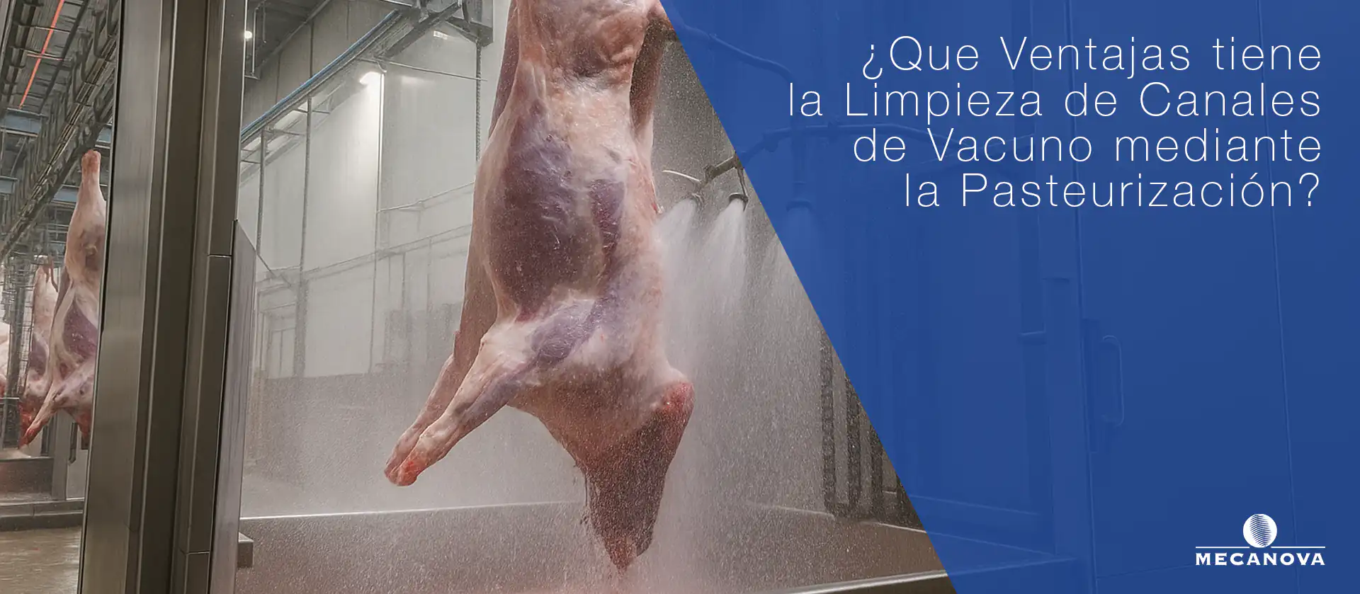 Limpieza-Canales-con-Pasteurizacion_MECANOVA