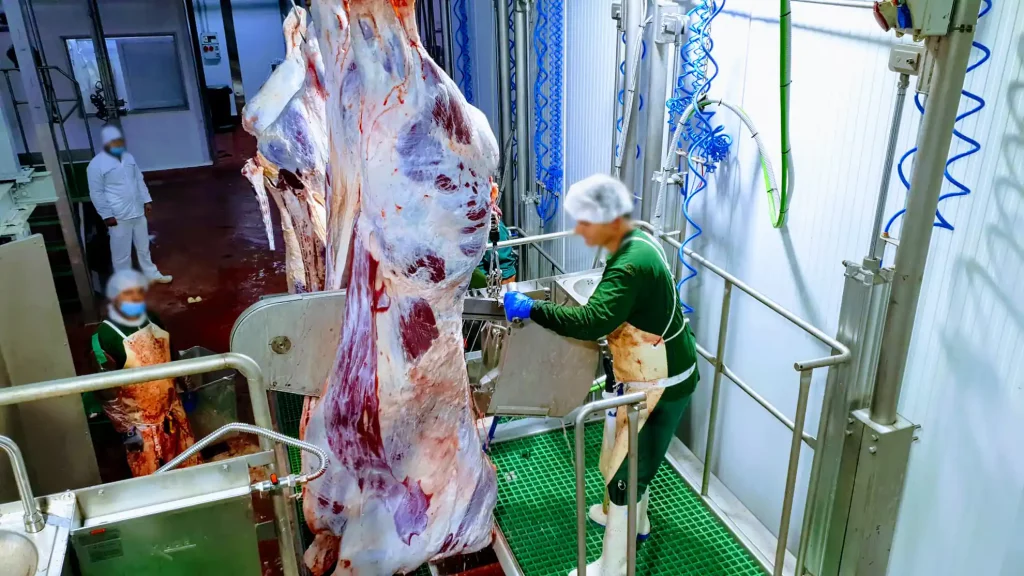 meat-industry-innovation_MECANOVA_