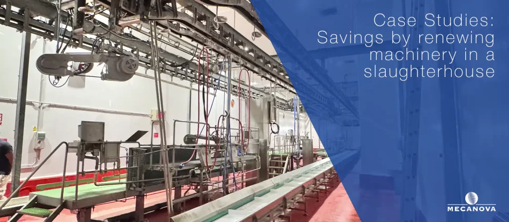 modernize-slaughterhouse-equipment_MECANOVA