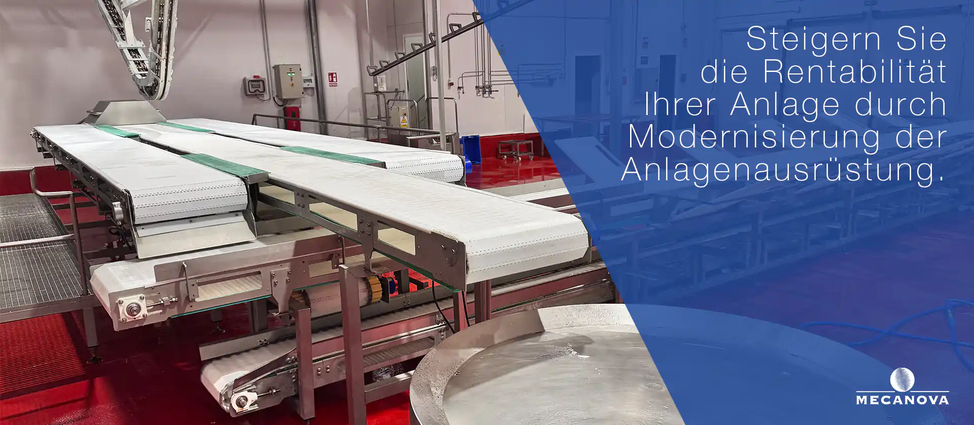 modernisierung-der-schlachthofausrustung_MECANOVA
